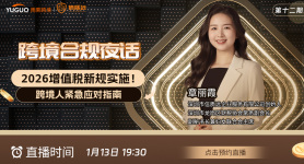 2026增值税新规实施！跨境人紧急应对指南（第十二期）