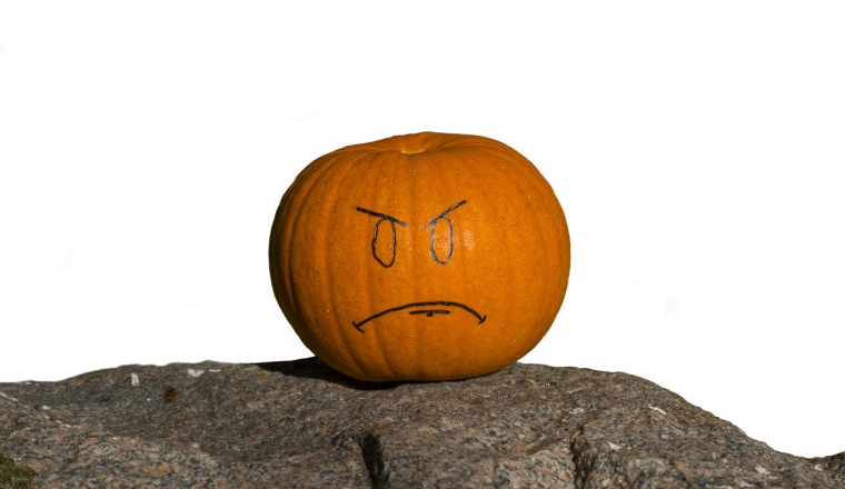 月搜索量超7.5万次！一块“小石头”居然卖这么好？