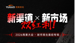 2026跨境出海破局：新渠道×新市场实战指南