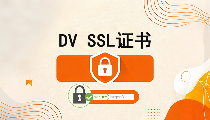 外贸运营者注意：便宜快速申请的SSL证书类型—DV SSL证书了解一下