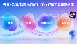 聚焦核心需求：号商品牌跨境电商的TikTok矩阵工具适配方案