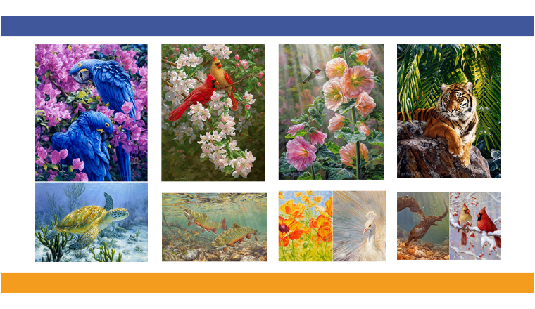 已有33个被告！加拿大艺术家6个野生动物版权TRO！