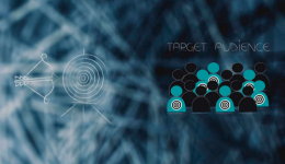 TEMU平台卖家画像，TEMU卖家入驻条件