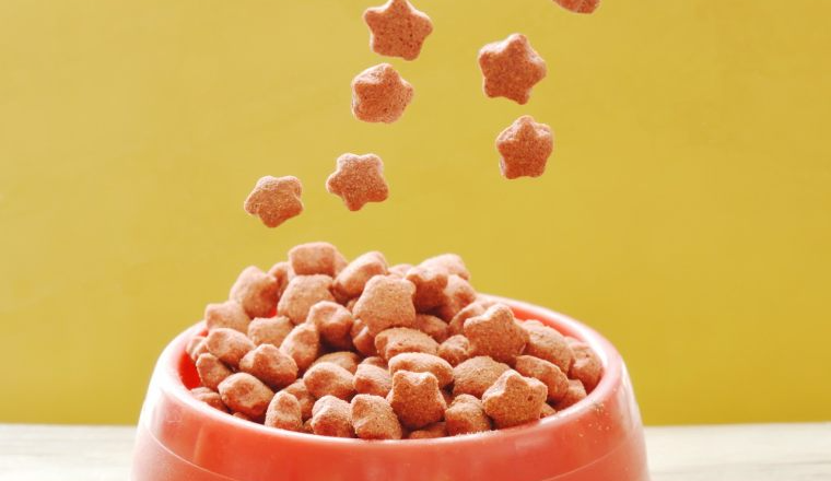 想做宠物赛道？先看懂这3个顶级网站