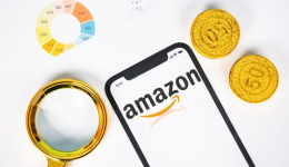 应变求新，智拓亚马逊全球