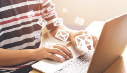 Lazada本土店品牌信息怎么填，Lazada本土店怎么优化