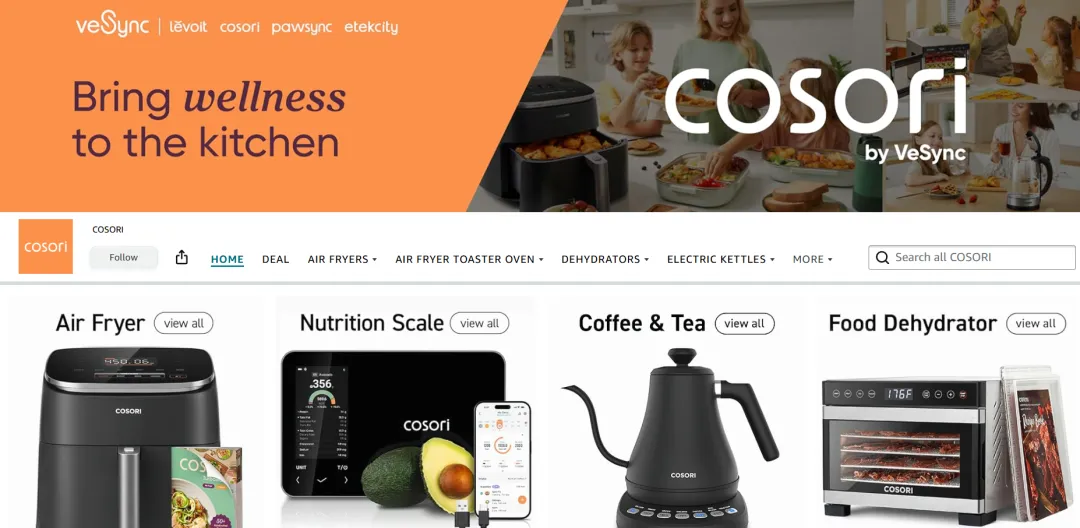 霸榜欧美！这个深圳品牌如何靠空气炸锅征服欧美用户？