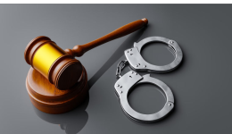 多地联动重拳打击涉税违法犯罪行为