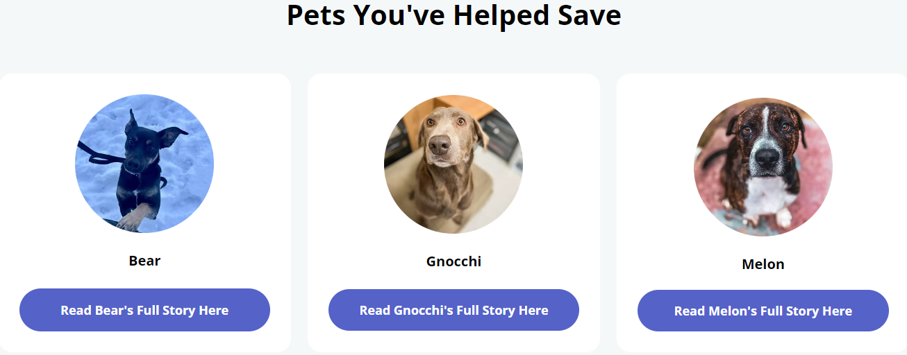 独立站优秀案例分析：宠物玩偶品牌如何驱动高客单价转化？