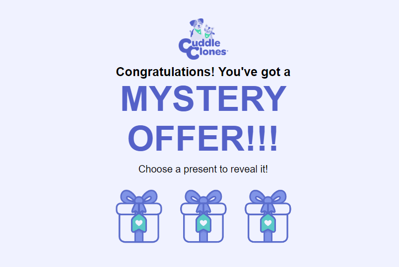 独立站优秀案例分析：宠物玩偶品牌如何驱动高客单价转化？