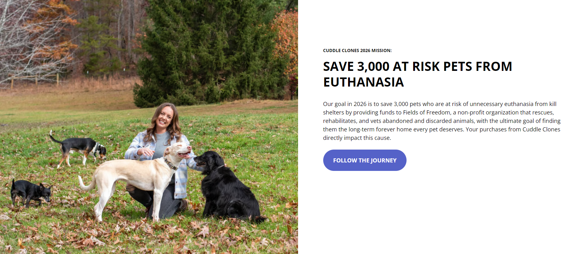 独立站优秀案例分析：宠物玩偶品牌如何驱动高客单价转化？