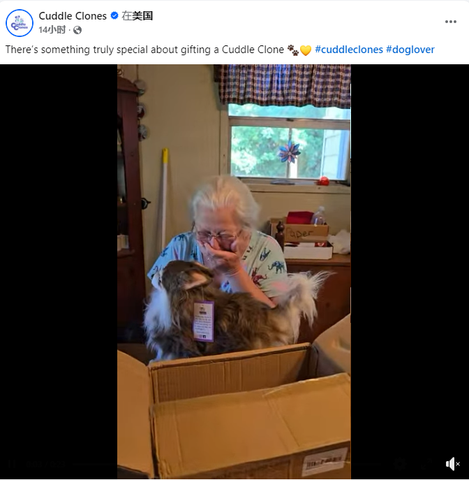 独立站优秀案例分析：宠物玩偶品牌如何驱动高客单价转化？