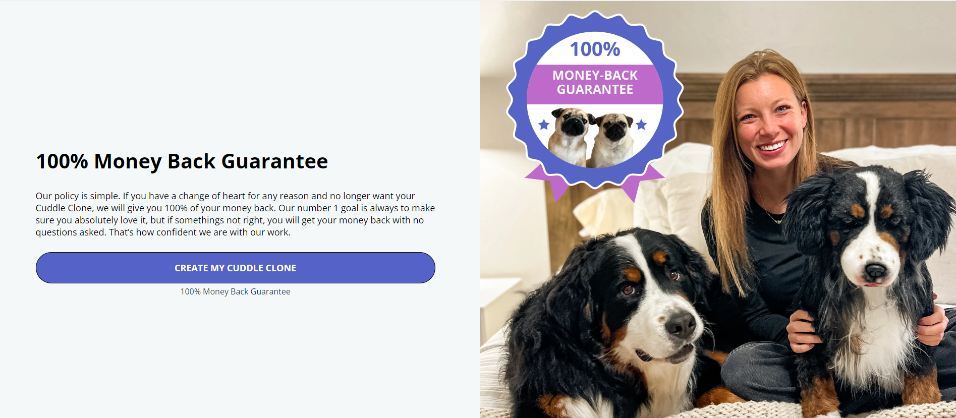 独立站优秀案例分析：宠物玩偶品牌如何驱动高客单价转化？