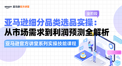 亚马逊细分品类选品实操：从市场需求到利润预测全解析
