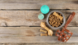 欧美家庭三大 “氪金” 方向？eBay室内家具&宠物用品战略品类揭晓