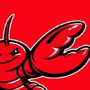 OpenClaw爆火，第一批“养虾”的跨境人说了些大实话！