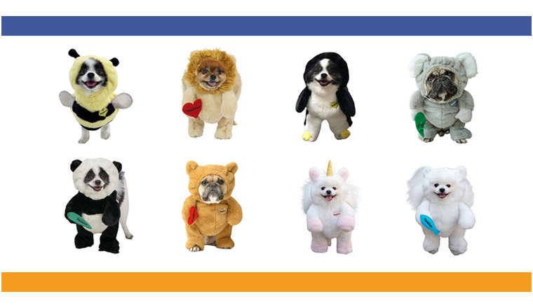 商标+专利双维权！热门宠物服装品牌pandaloon发案！