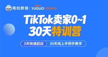 TikTok卖家30天实操陪跑特训营试听课
