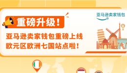 亚马逊卖家钱包欧洲七国上线 收付安全零汇损