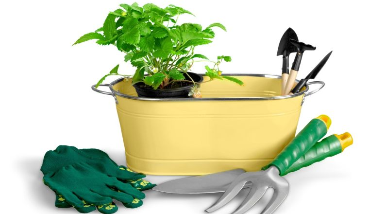 26-cv-00615，116个园艺类目卖家踩坑！