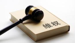 26-cv-02797，Steam爆款游戏Wobbly Life维权！游戏周边店铺或迎批量冻结！