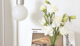 7天成交160万！TikTok假花出海卖疯了