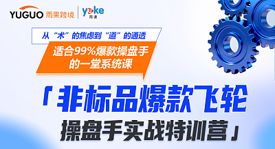 亚马逊非标品爆款飞轮-操盘手实战特训营