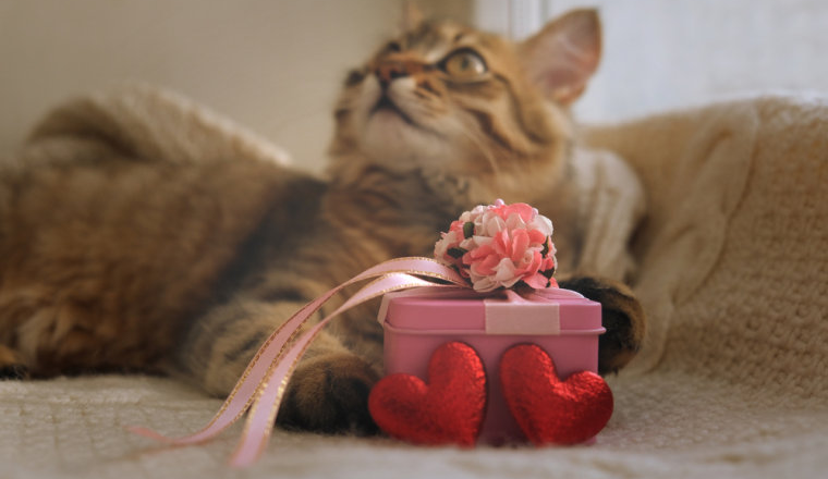 高利润下的“粉色赛道”，谁在偷偷爆单？