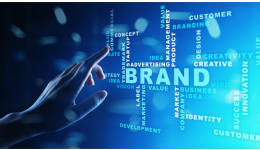 品牌备案屡屡失败？原来是这个环节“卡死”了