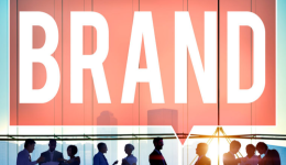 美国商标清理行动升级：虚假使用证据识别全记录