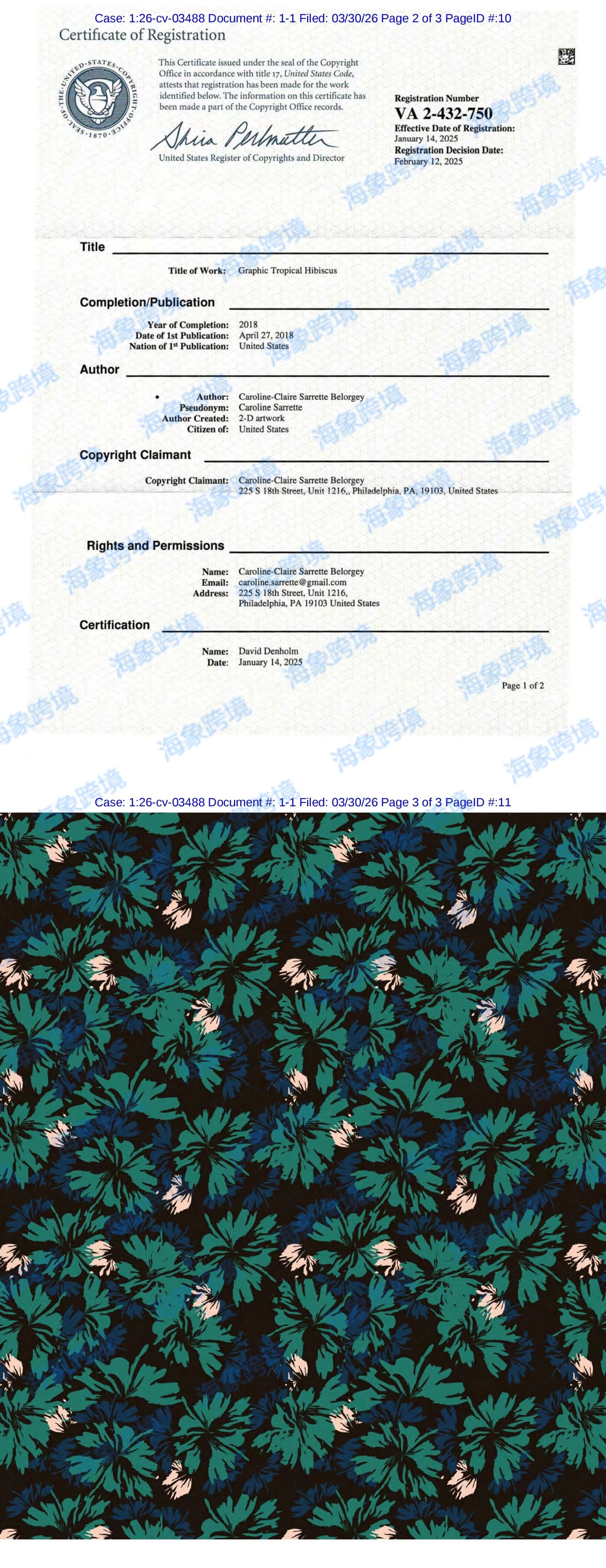 世嘉公司游戏发案！暗喻幻想26-cv-22062和26-cv-3488热带木槿花矢量