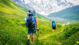 箱包出海不内卷！找对赛道，轻松吃151亿美元市场红利丨2026跨境选品内参①