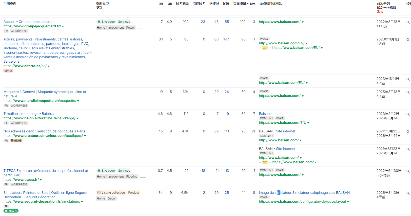 独立站优秀案例分析：地毯供应商如何缩短客户询盘路径？