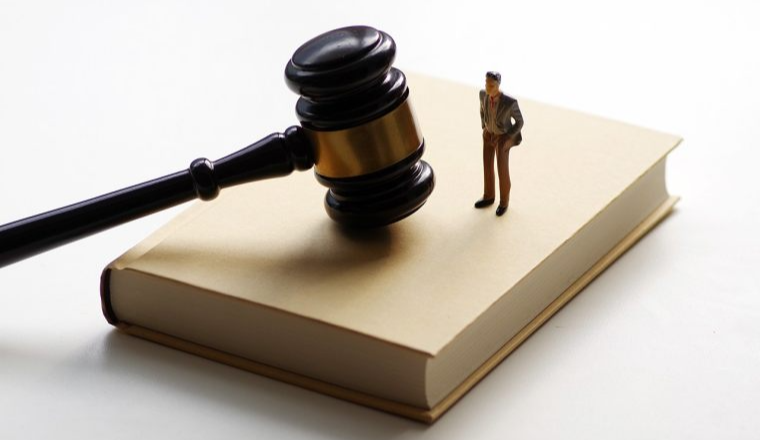 26-cv-00573,ANIS Illustration植物版权维权：182店面临TRO冻结危机