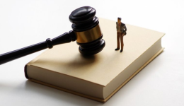 26-cv-00573,ANIS Illustration植物版权维权：182店面临TRO冻结危机