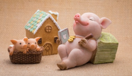 TEMU收款账号可以填其他人的吗，TEMU收款账号可以填几个