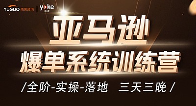亚马逊爆单系统训练营【第12期】3天2夜