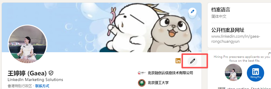 领英LinkedIn Sales Navigator（SN）不显示金标怎么办？三步找回您的档案徽章！