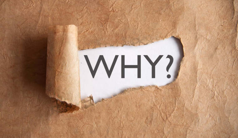 卖货、算账、报税，为什么中美逻辑完全不同？