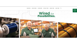 独立站优秀案例分析：线材供应商如何让客户更快建立信任？