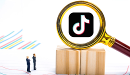 首批接入！谷仓成为TikTok Shop 欧洲本地托管业务对接合作仓