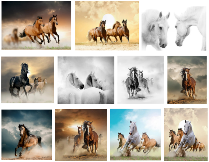 版权画大地震，keith起诉26-cv-528蜜蜂插画和26-cv-3518马动物和26-cv-530马匹摄影和26-cv-531