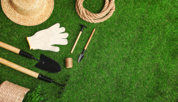 园艺用品独立站起步难？低成本建站攻略（外贸新手必看）