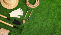 园艺用品独立站起步难？低成本建站攻略（外贸新手必看）