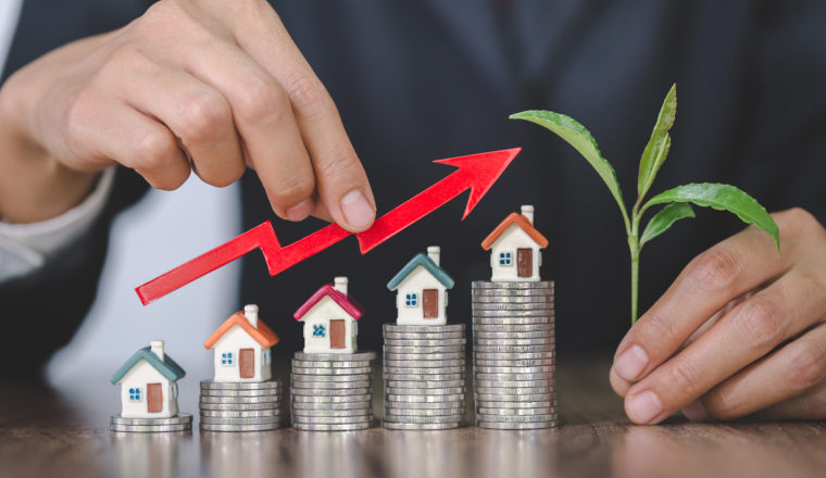 2026六大黑马品牌曝光！卖家都在抄它们的打法