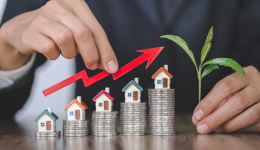 2026六大黑马品牌曝光！卖家都在抄它们的打法