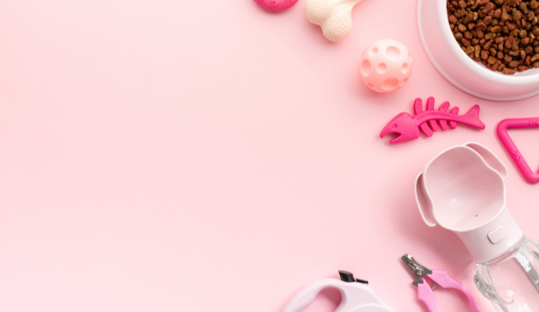 美容个护创业新手如何低成本快速搭建外贸独立站？