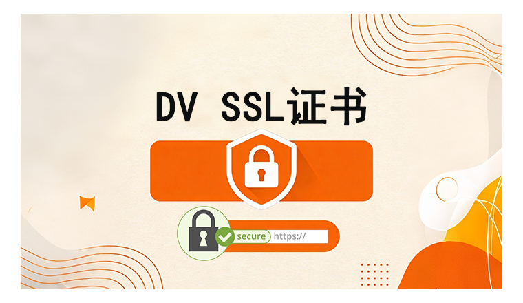 外贸建站小知识：便宜快速申请的SSL证书类型—DV SSL证书