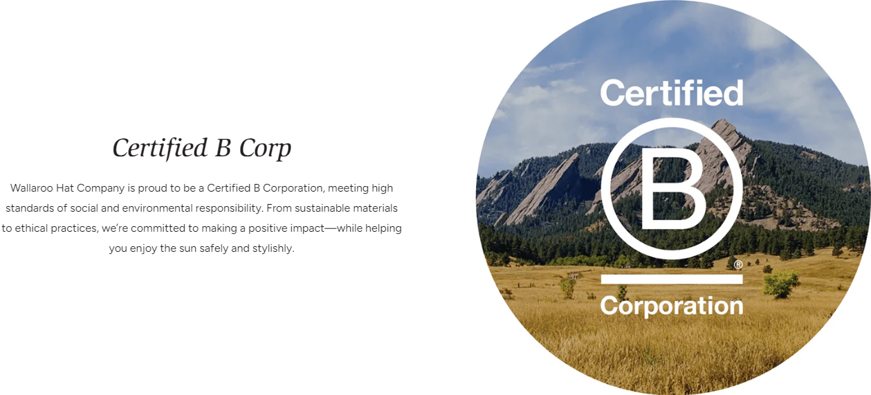 独立站优秀案例分析：遮阳帽品牌如何通过差异化定位赢得市场？