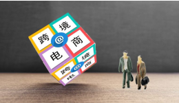 2026亚马逊品类趋势洞察：生活百货与消费电子谁主沉浮？